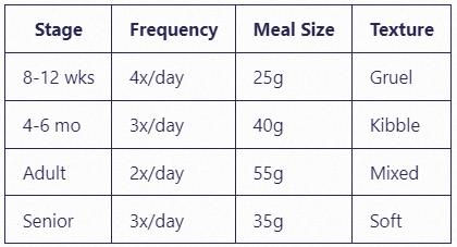 Age-Based Protocols